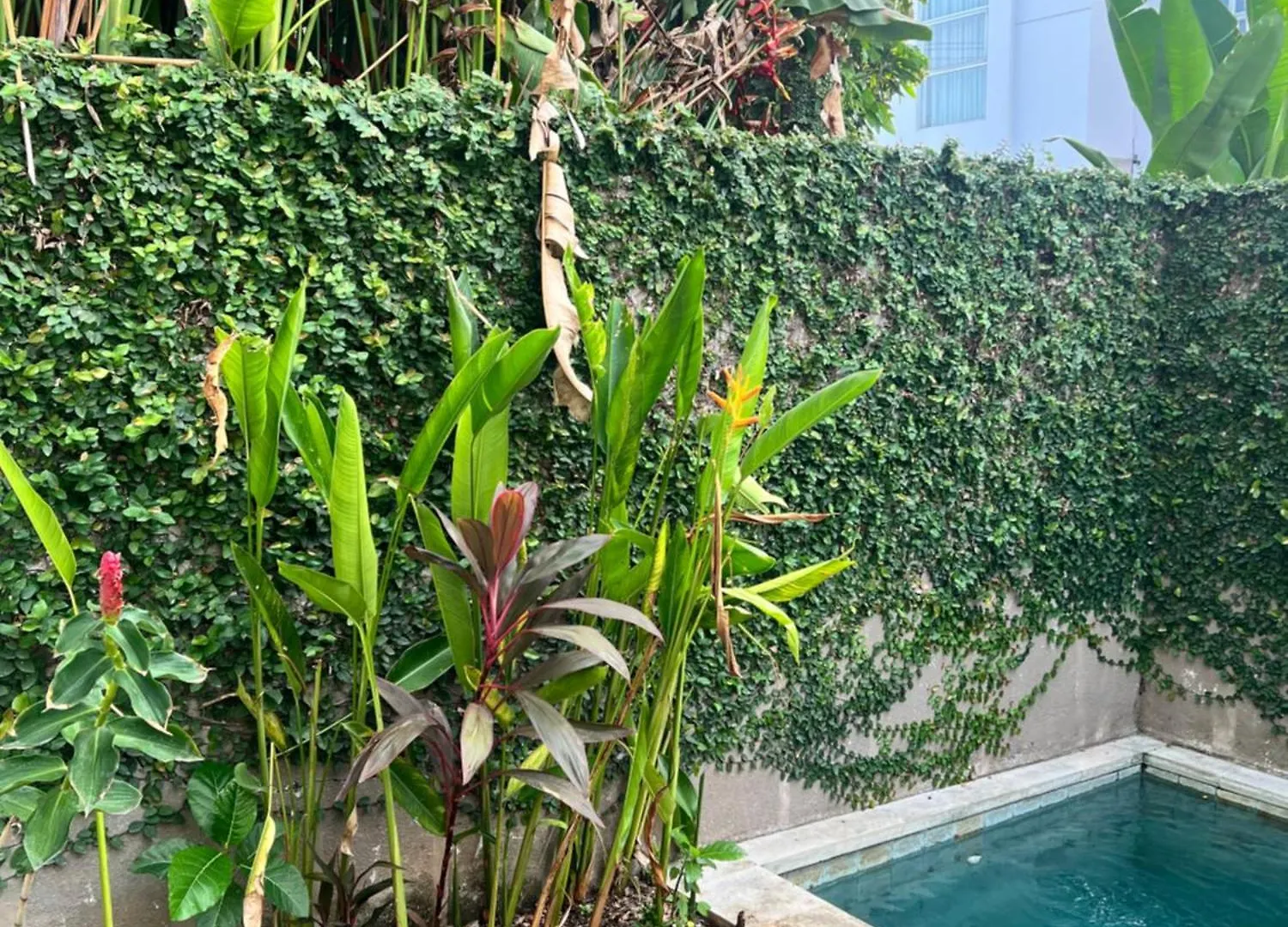 Alergia Villa سمينياك